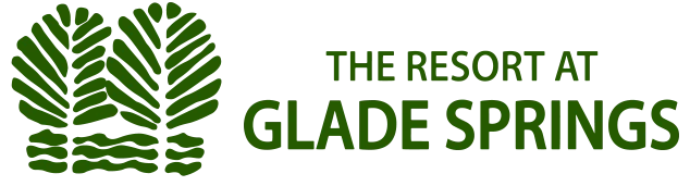 Brand logo on footer