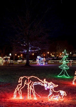 A park lit with colorful Christmas lights, featuring trees, reindeer, and festive scenes in a nighttime holiday display.