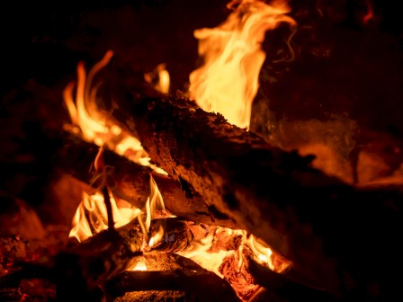 A blazing campfire with glowing logs and orange flames, crackling as sparks leap into the dark night, warm and cozy yet wild.