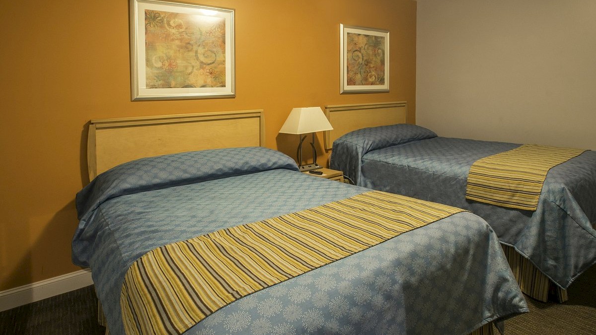 Two neatly made beds with blue bedspreads, a shared nightstand, a lamp, and framed artwork on a warm-colored wall.