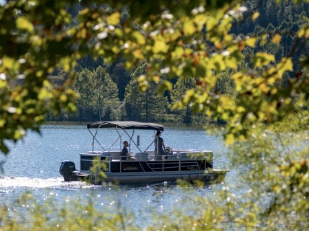 A boat is gliding on a serene lake, framed by leafy branches, with lush green trees in the background.