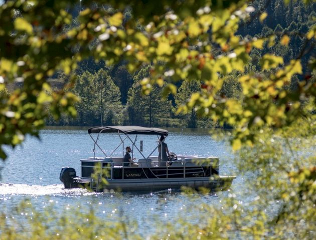 A boat is sailing on a lake, framed by green leaves and surrounded by lush trees and a forested background.